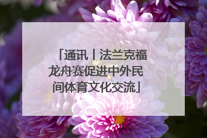 通讯丨法兰克福龙舟赛促进中外民间体育文化交流