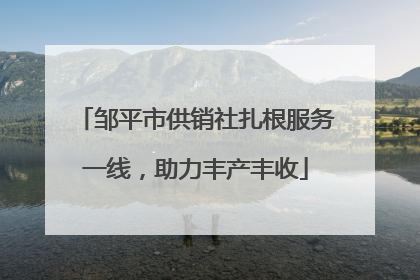 邹平市供销社扎根服务一线，助力丰产丰收