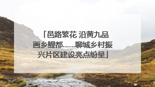 邑路繁花 沿黄九品 画乡鲤都……聊城乡村振兴片区建设亮点纷呈