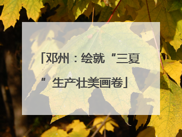 邓州：绘就“三夏”生产壮美画卷