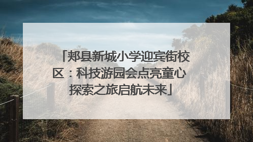 郏县新城小学迎宾街校区：科技游园会点亮童心 探索之旅启航未来