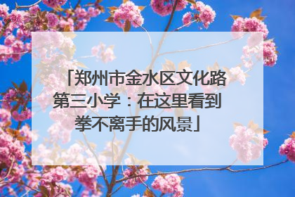 郑州市金水区文化路第三小学：在这里看到拳不离手的风景