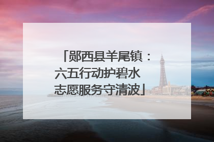 郧西县羊尾镇：六五行动护碧水 志愿服务守清波