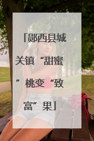 郧西县城关镇“甜蜜”桃变“致富”果