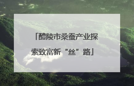 醴陵市桑蚕产业探索致富新“丝”路