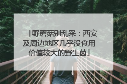 野蘑菇别乱采：西安及周边地区几乎没食用价值较大的野生菌