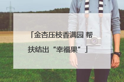 金杏压枝香满园 帮扶结出“幸福果”