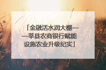 金融活水润大棚——莘县农商银行赋能设施农业升级纪实