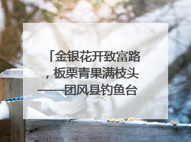 金银花开致富路，板栗青果满枝头——团风县钓鱼台村“山水生金”谱写共富新篇章