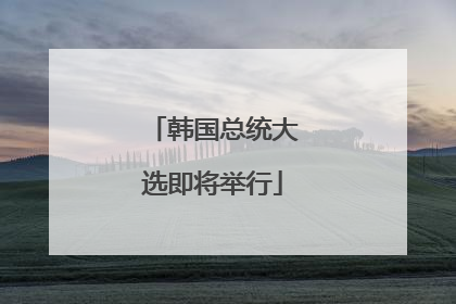 韩国总统大选即将举行