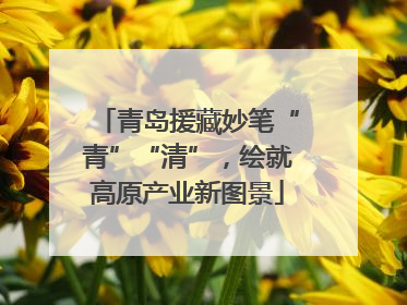 青岛援藏妙笔“青”“清”，绘就高原产业新图景
