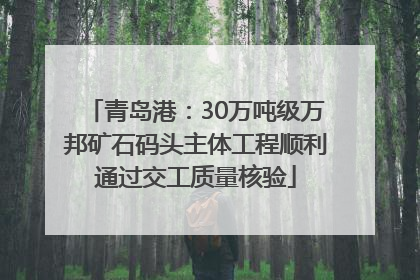 青岛港：30万吨级万邦矿石码头主体工程顺利通过交工质量核验