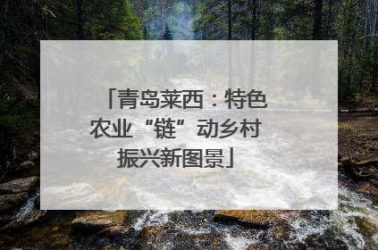 青岛莱西：特色农业“链”动乡村振兴新图景