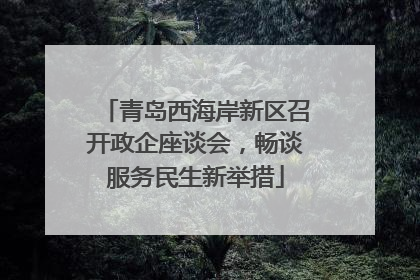 青岛西海岸新区召开政企座谈会，畅谈服务民生新举措