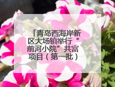 青岛西海岸新区大场镇举行“前河小院”共富项目（第一批）集中开业仪式