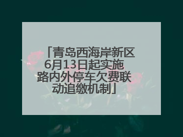 青岛西海岸新区6月13日起实施路内外停车欠费联动追缴机制