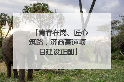 青春在岗、匠心筑路，济商高速项目建设正酣