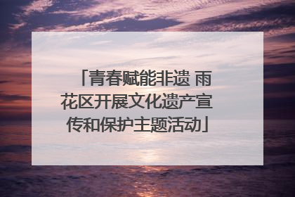 青春赋能非遗 雨花区开展文化遗产宣传和保护主题活动