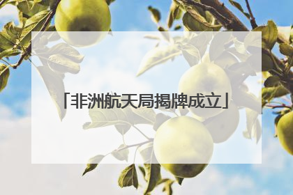 非洲航天局揭牌成立