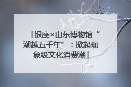 银座×山东博物馆“潮越五千年”：掀起现象级文化消费潮