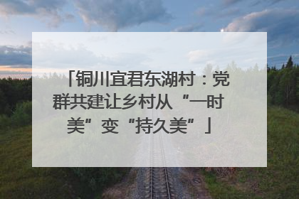 铜川宜君东湖村：党群共建让乡村从“一时美”变“持久美”