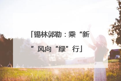 锡林郭勒：乘“新”风向“绿”行