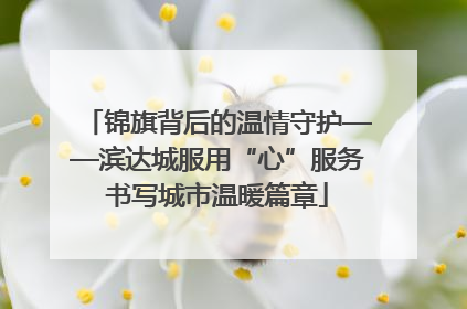 锦旗背后的温情守护——滨达城服用“心”服务书写城市温暖篇章