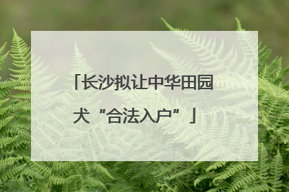 长沙拟让中华田园犬“合法入户”