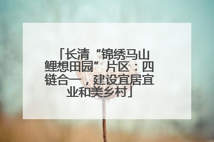 长清“锦绣马山 鲤想田园”片区：四链合一，建设宜居宜业和美乡村