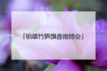 镇雄竹笋飘香南博会