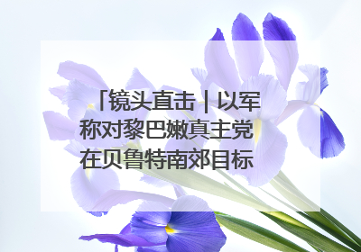 镜头直击｜以军称对黎巴嫩真主党在贝鲁特南郊目标实施打击
