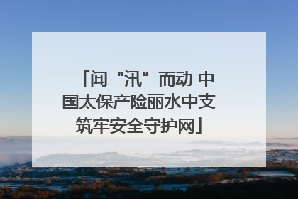 闻“汛”而动 中国太保产险丽水中支筑牢安全守护网