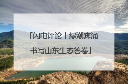 闪电评论丨绿潮奔涌 书写山东生态答卷