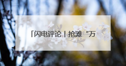 闪电评论丨抢滩“万亿蓝海” 山东低空经济乘势“高飞”