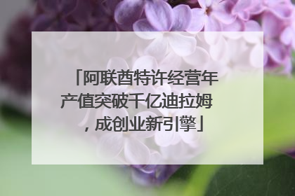 阿联酋特许经营年产值突破千亿迪拉姆，成创业新引擎