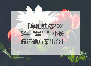 阜阳铁路2025年“端午”小长假运输方案出台