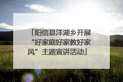 阳信县洋湖乡开展“好家庭好家教好家风”主题宣讲活动