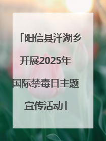 阳信县洋湖乡开展2025年国际禁毒日主题宣传活动