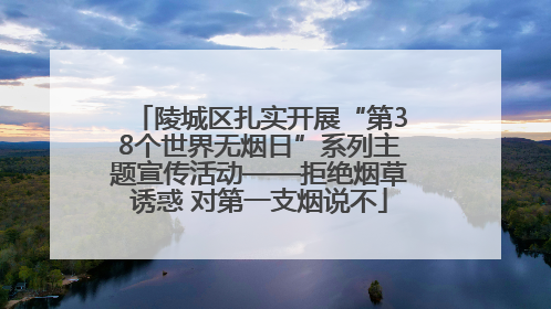 陵城区扎实开展“第38个世界无烟日”系列主题宣传活动——拒绝烟草诱惑 对第一支烟说不