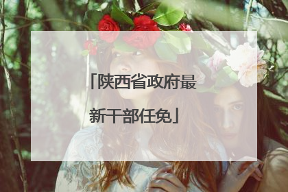 陕西省政府最新干部任免