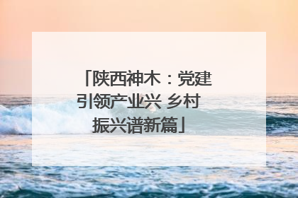 陕西神木：党建引领产业兴 乡村振兴谱新篇