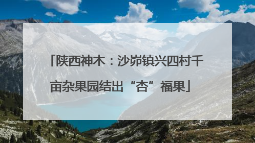 陕西神木：沙峁镇兴四村千亩杂果园结出“杏”福果