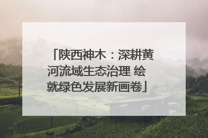 陕西神木：深耕黄河流域生态治理 绘就绿色发展新画卷