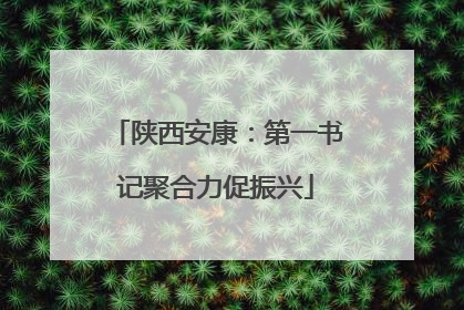 陕西安康：第一书记聚合力促振兴
