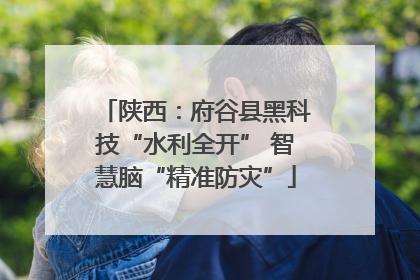 陕西：府谷县黑科技“水利全开” 智慧脑“精准防灾”