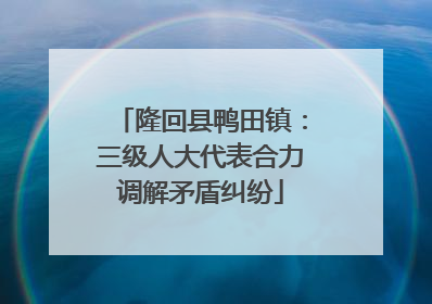 隆回县鸭田镇：三级人大代表合力调解矛盾纠纷