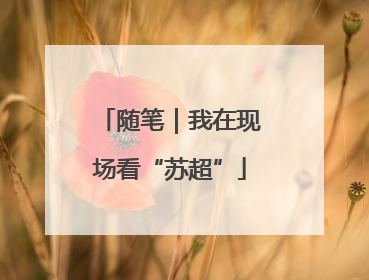 随笔｜我在现场看“苏超”