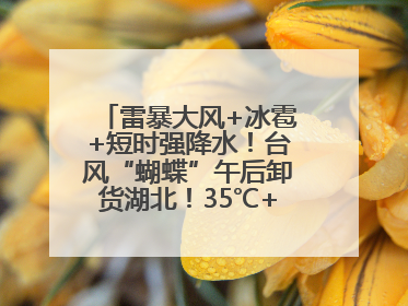 雷暴大风+冰雹+短时强降水！台风“蝴蝶”午后卸货湖北！35℃+又火速上线