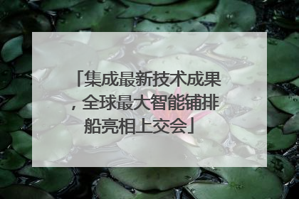 集成最新技术成果，全球最大智能铺排船亮相上交会
