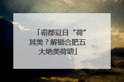 霸都夏日“荷”其美？解锁合肥五大绝美荷塘